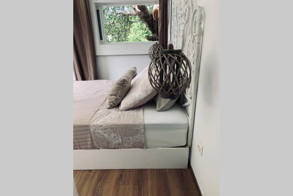 La Caze Amoremieve Pour Un Sejour Cozy A St Pierre Saint Pierre Buitenkant foto